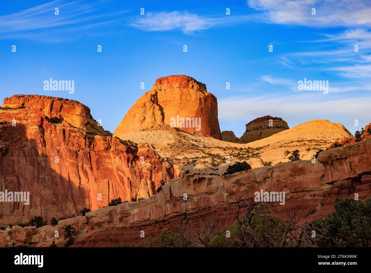 Questa è una vista nel tardo pomeriggio del Golden Throne, una montagna di roccia rossa di 7.041 piedi (2.146 m) nel Capitol Reef National Park nella contea di Wayne, Utah, Stati Uniti. Foto Stock