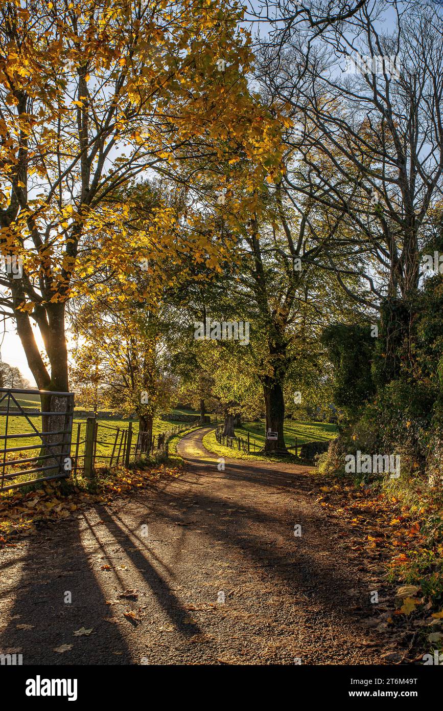 Corsie di campagna al sole autunnale Foto Stock