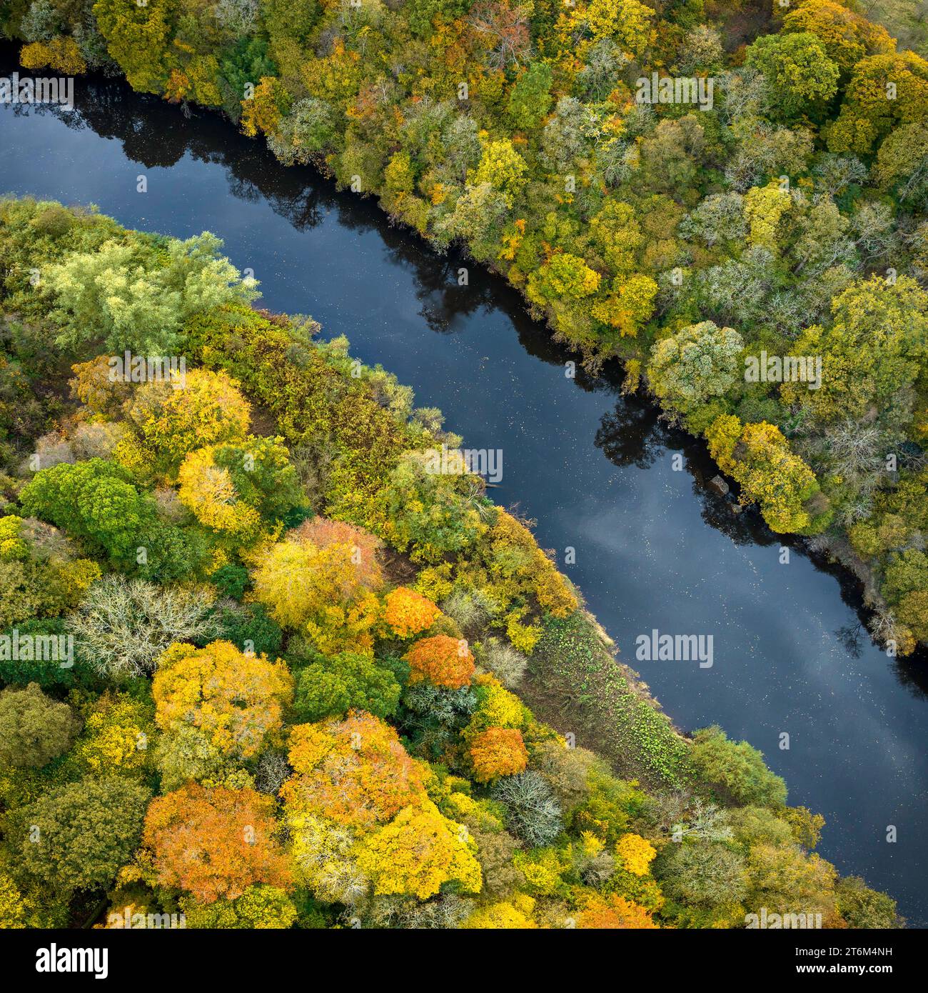 Fiume Clyde vicino al castello di Bothwell, Bothwell, Lanarkshire, Scozia, Regno Unito Foto Stock