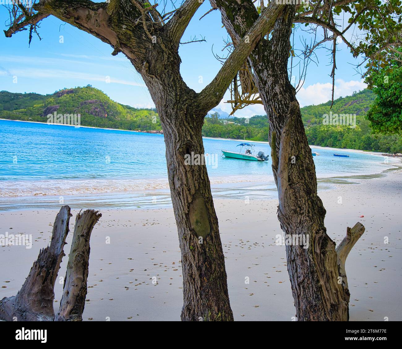 Spiaggia soleggiata e di sabbia bianca, barca da pesca ormeggiata, enormi rocce di granito tra il tronco degli alberi a Baie Lazare Beach, Mahe, Seychelles Foto Stock