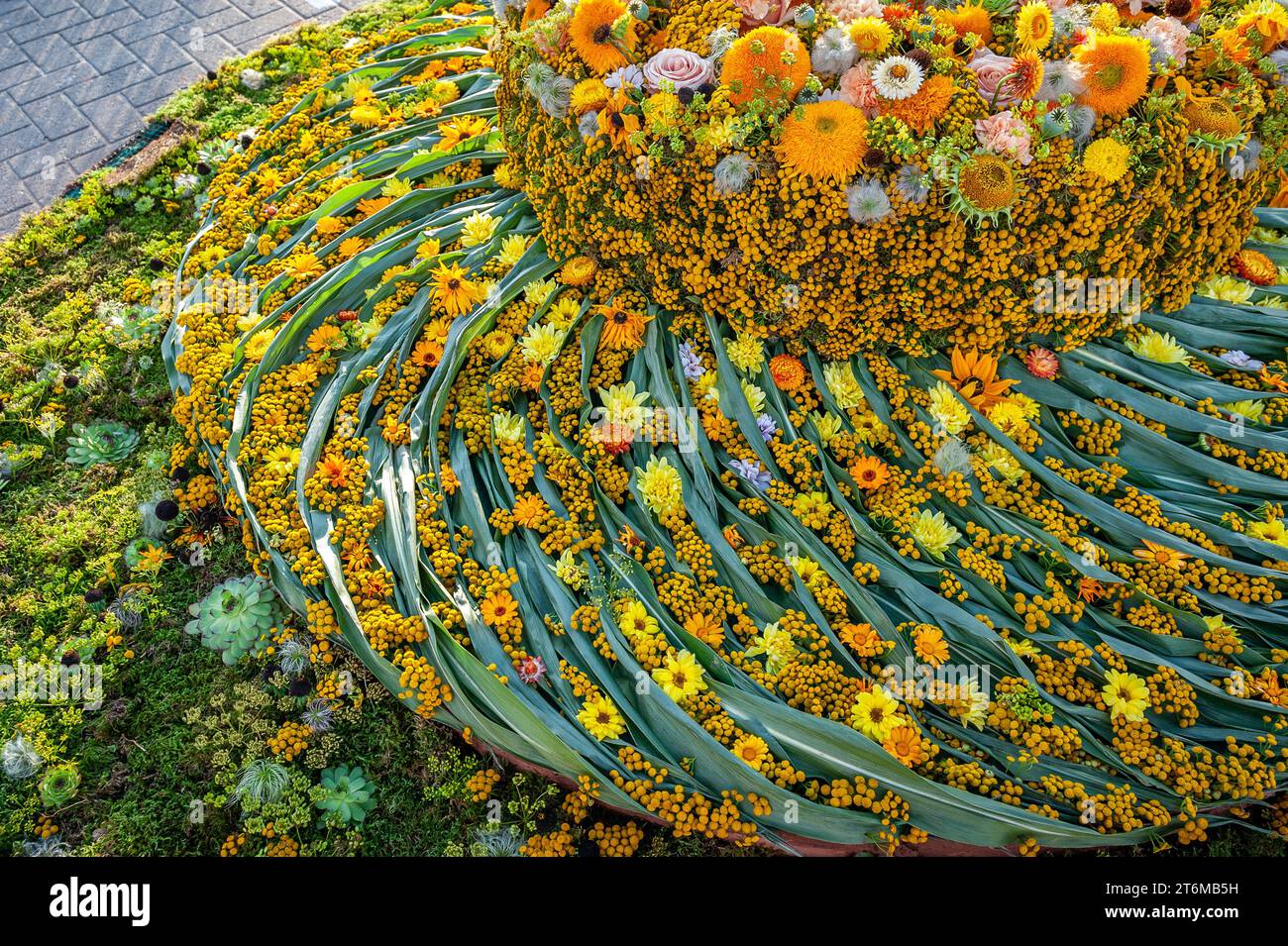 Tre livelli di arrangiamenti floreali per il Flower Carpet Festival. Foto Stock