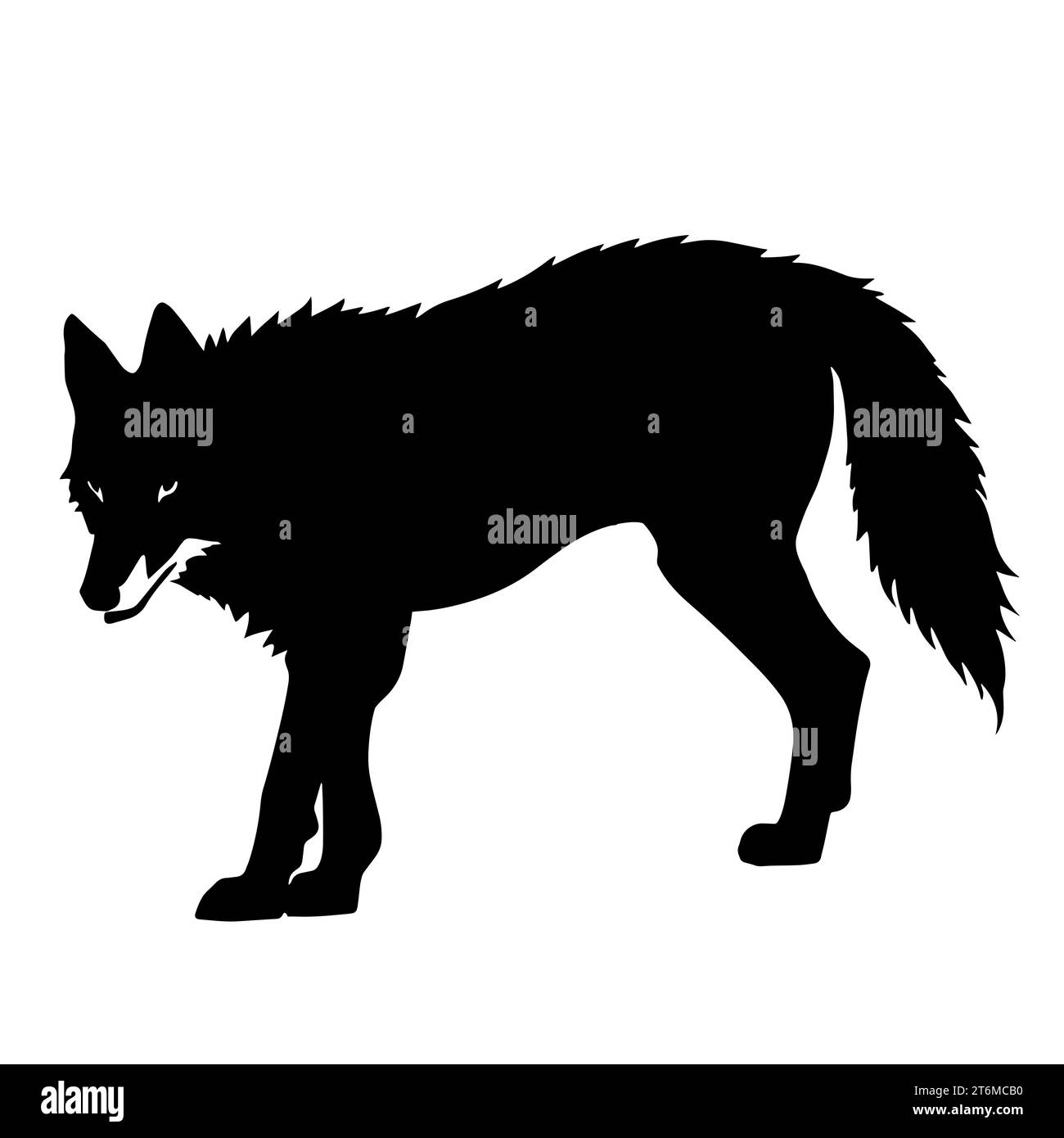 illustrazione in bianco e nero di un lupo con un pelo spesso e zanne affilate. Il lupo rappresenta il branco, forti legami familiari e la cooperazione Foto Stock