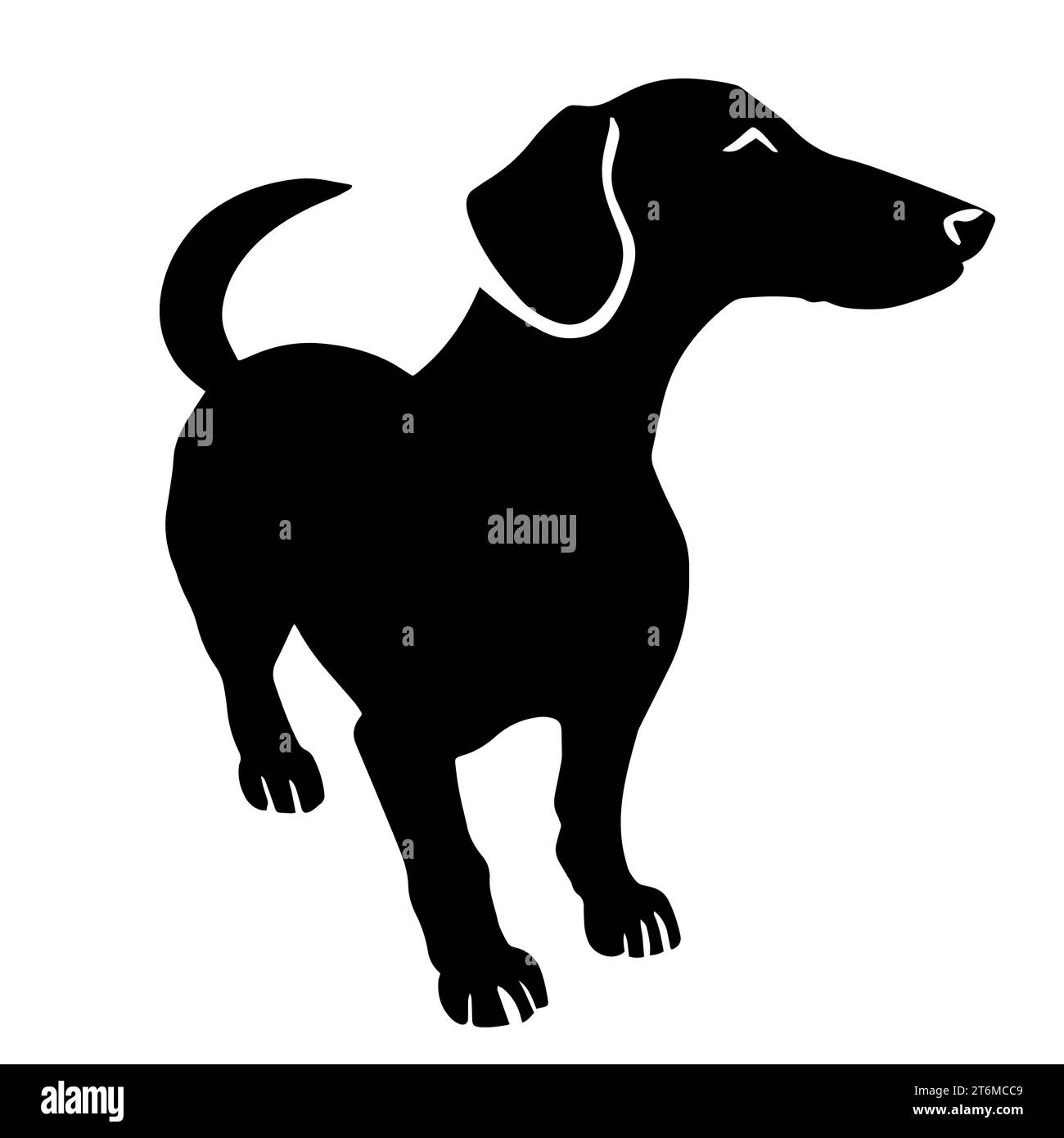 Illustrazione di un Dachshund bianco e nero, noto per il suo corpo allungato e le gambe corte Foto Stock