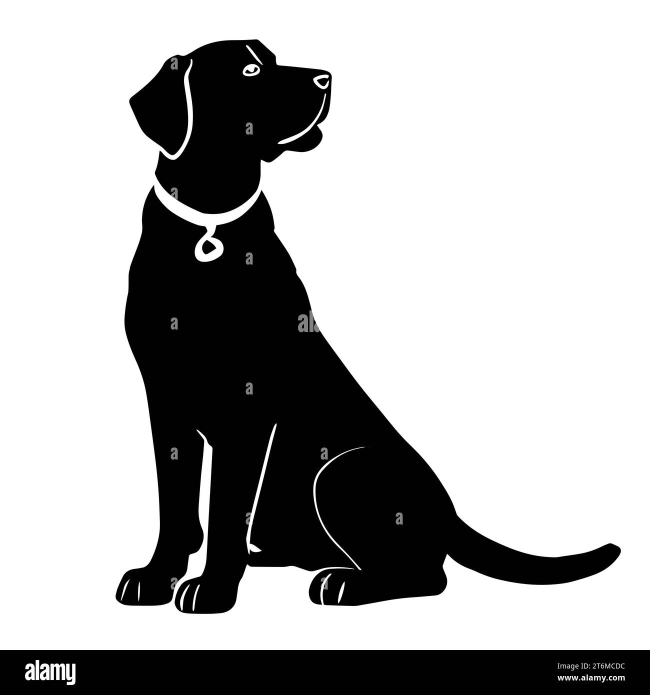 Labrador Retriever in bianco e nero, una razza conosciuta per la sua natura amichevole e gentile Foto Stock