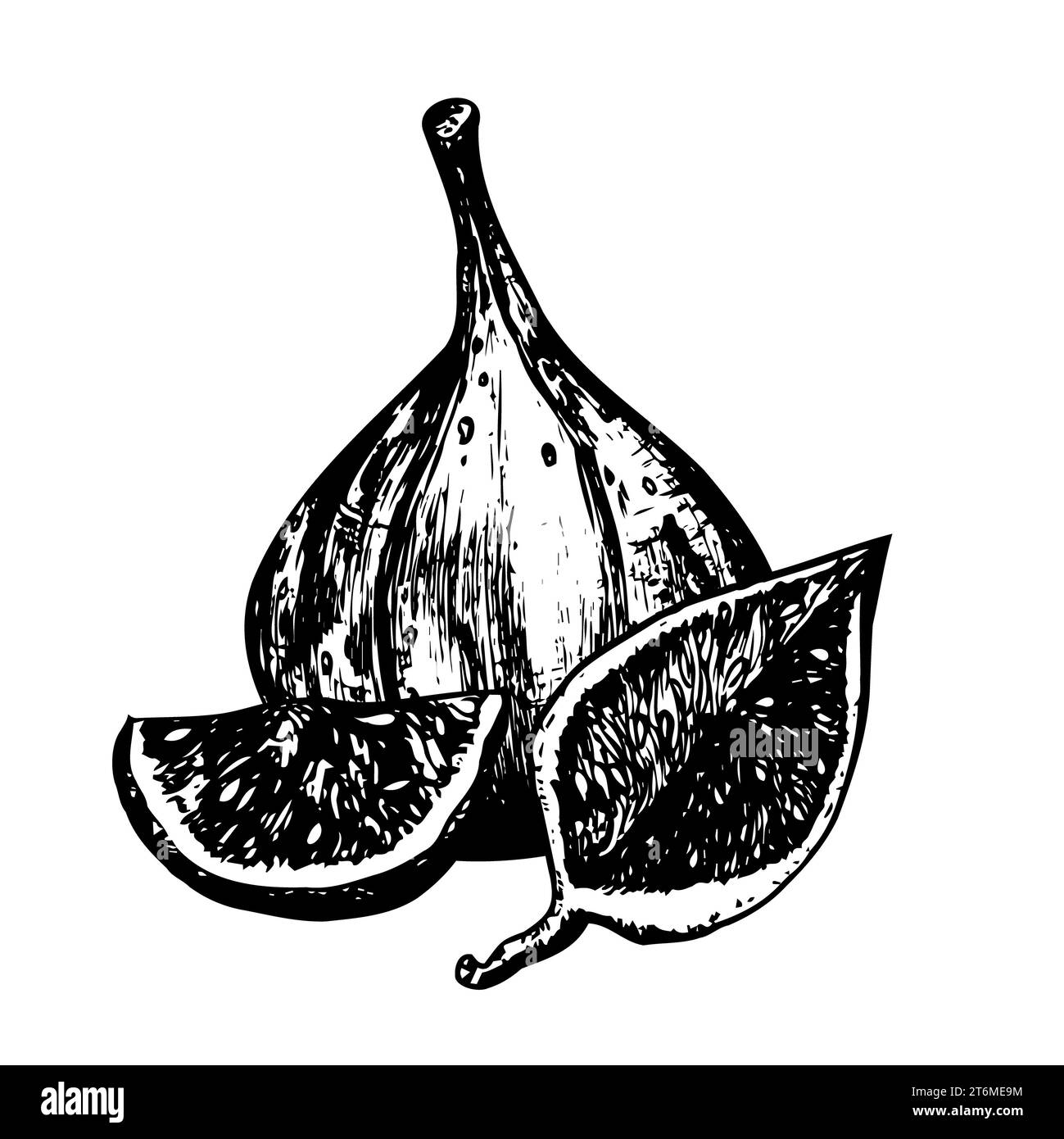 Illustrazione con inchiostro bianco e nero disegnato a mano. Frutta fresca e matura di fichi e fette. Illustrazione vettoriale Foto Stock