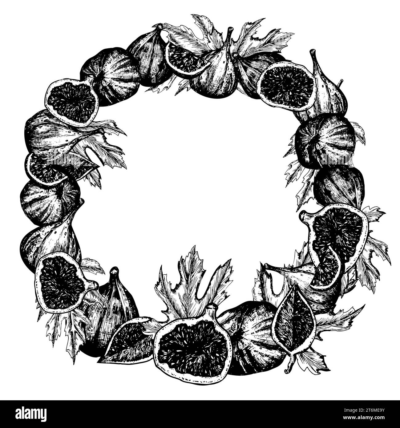 Illustrazione con inchiostro bianco e nero disegnato a mano. Corona circolare con fichi freschi, foglie e fette. Illustrazione vettoriale Foto Stock