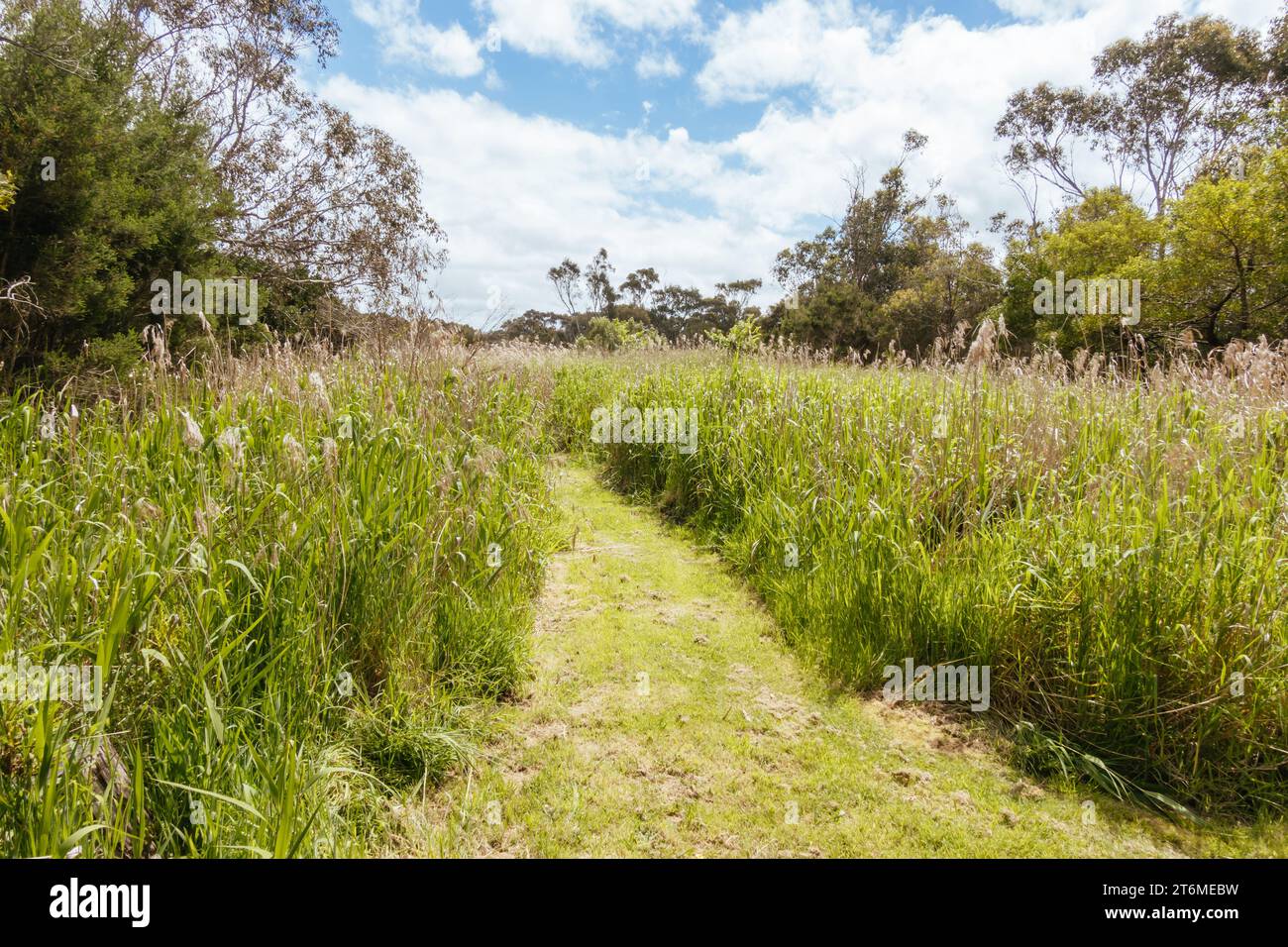 Coolart Wetlands e Homestead a Somers in una giornata termale nella penisola di Mornington, Victoria, Australia Foto Stock