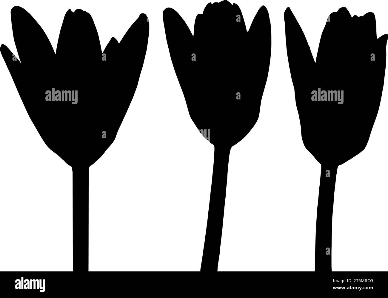 Sfondo bianco con grafica vettoriale Lotus silhouette. Icona Lotus. Versione a silhouette piatta. Illustrazione Vettoriale