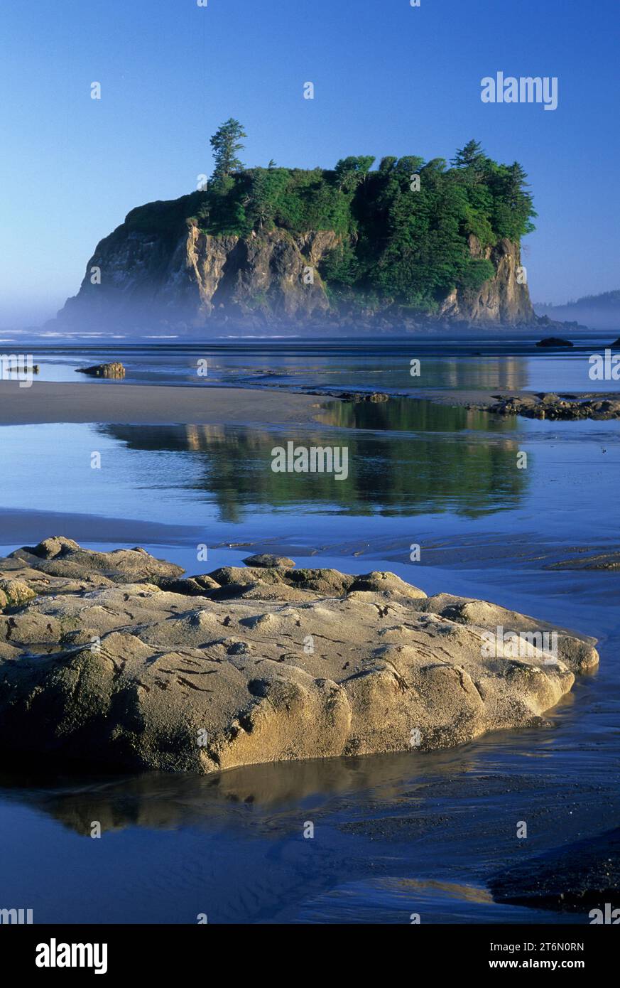 Abbey Island a Ruby Beach, Olympic National Park, Washington Foto Stock