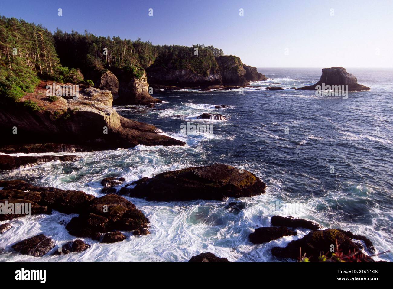 Cape lusinghe litorale, Makah Indian Reservation, Washington Foto Stock