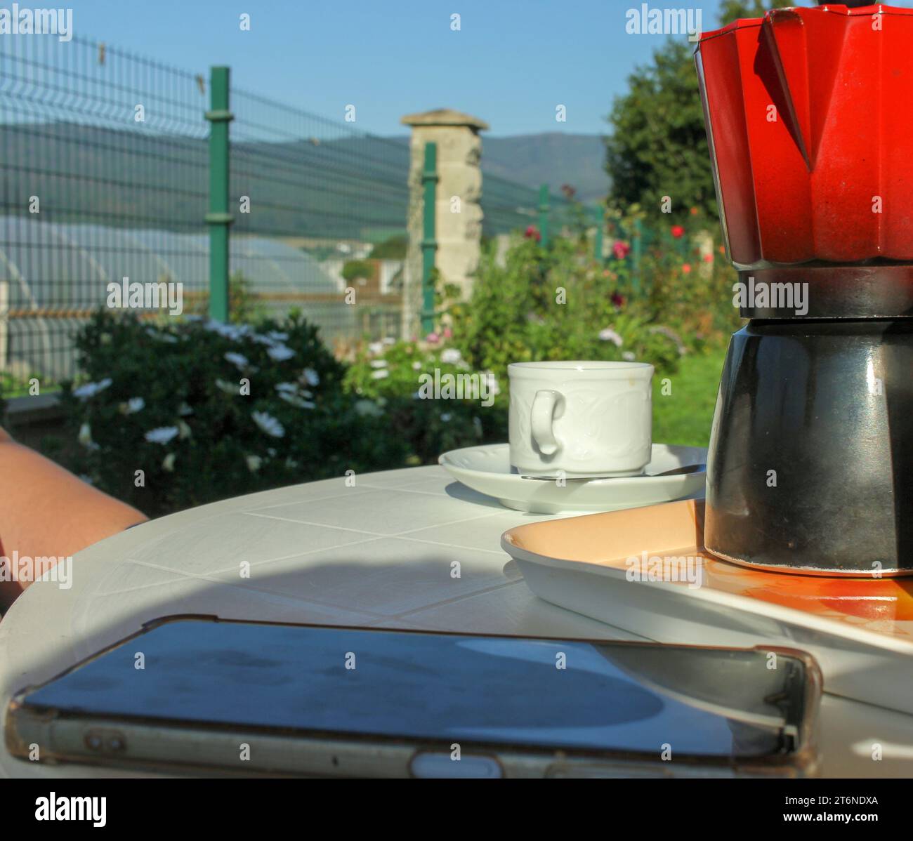 caffè e smartphone mobile in giardino Foto Stock