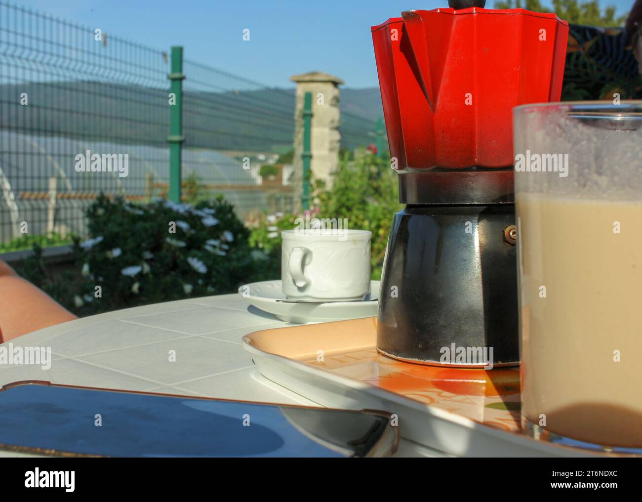 prendere un caffè con un telefono cellulare in giardino Foto Stock
