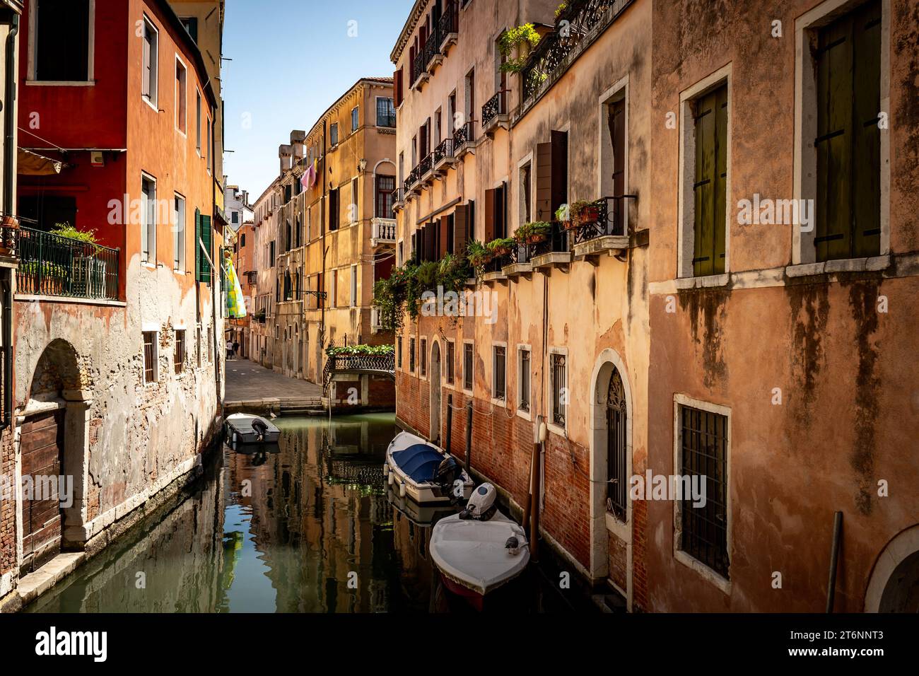 Canale panoramico con ponte e vecchi edifici con piante in vaso a Venezia, Italia Foto Stock