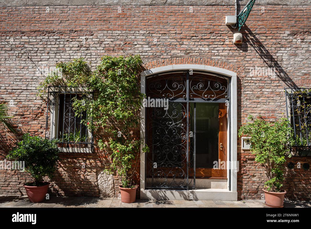 Edifici con piante in vaso a Venezia. Bella facciata. Marciapiede pavimentato Foto Stock
