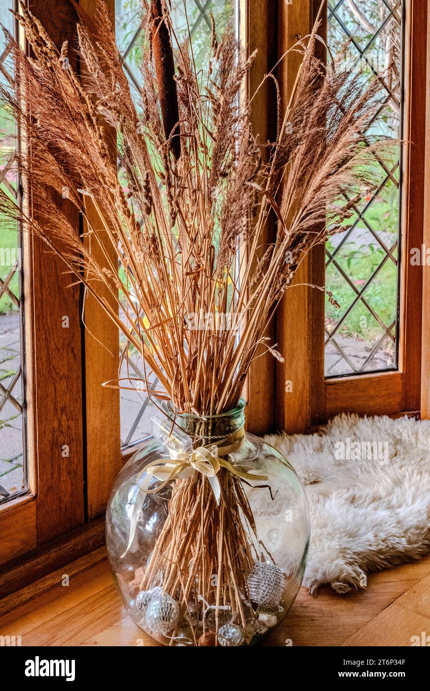 Asciugare l'erba in un vaso di vetro in una finestra francese soleggiata. Design degli interni. Atmosfera calda. Accogliente. Fare la casa. Artistico Foto Stock