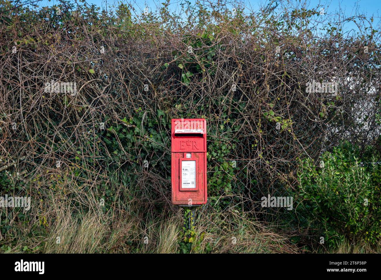 Piccola casella postale rossa da una siepe sovradimensionata Foto Stock