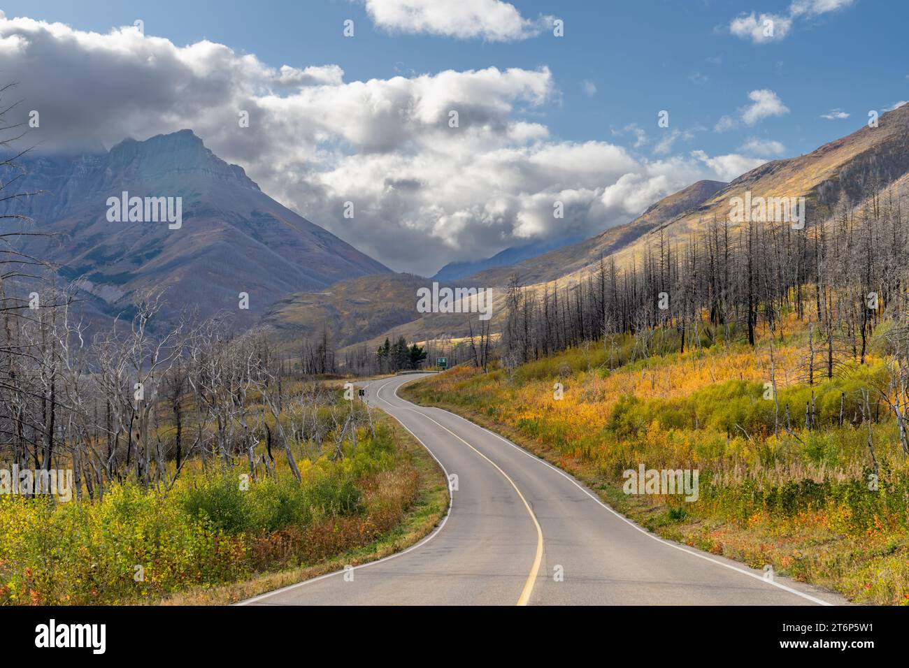 Colori autunnali del parco nazionale di Waterton Lakes, Alberta, Canada. Foto Stock