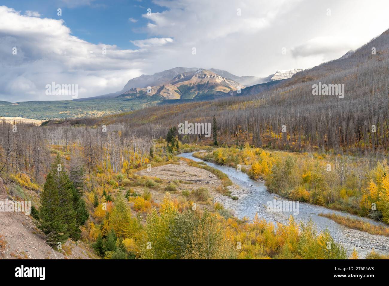 Colori autunnali del parco nazionale di Waterton Lakes, Alberta, Canada. Foto Stock