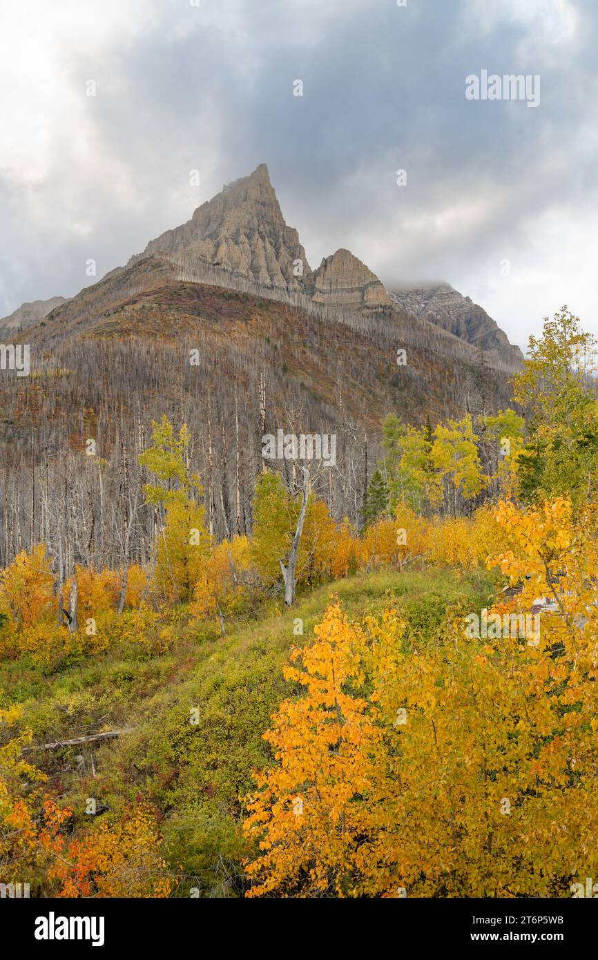 Colori autunnali del parco nazionale di Waterton Lakes, Alberta, Canada. Foto Stock