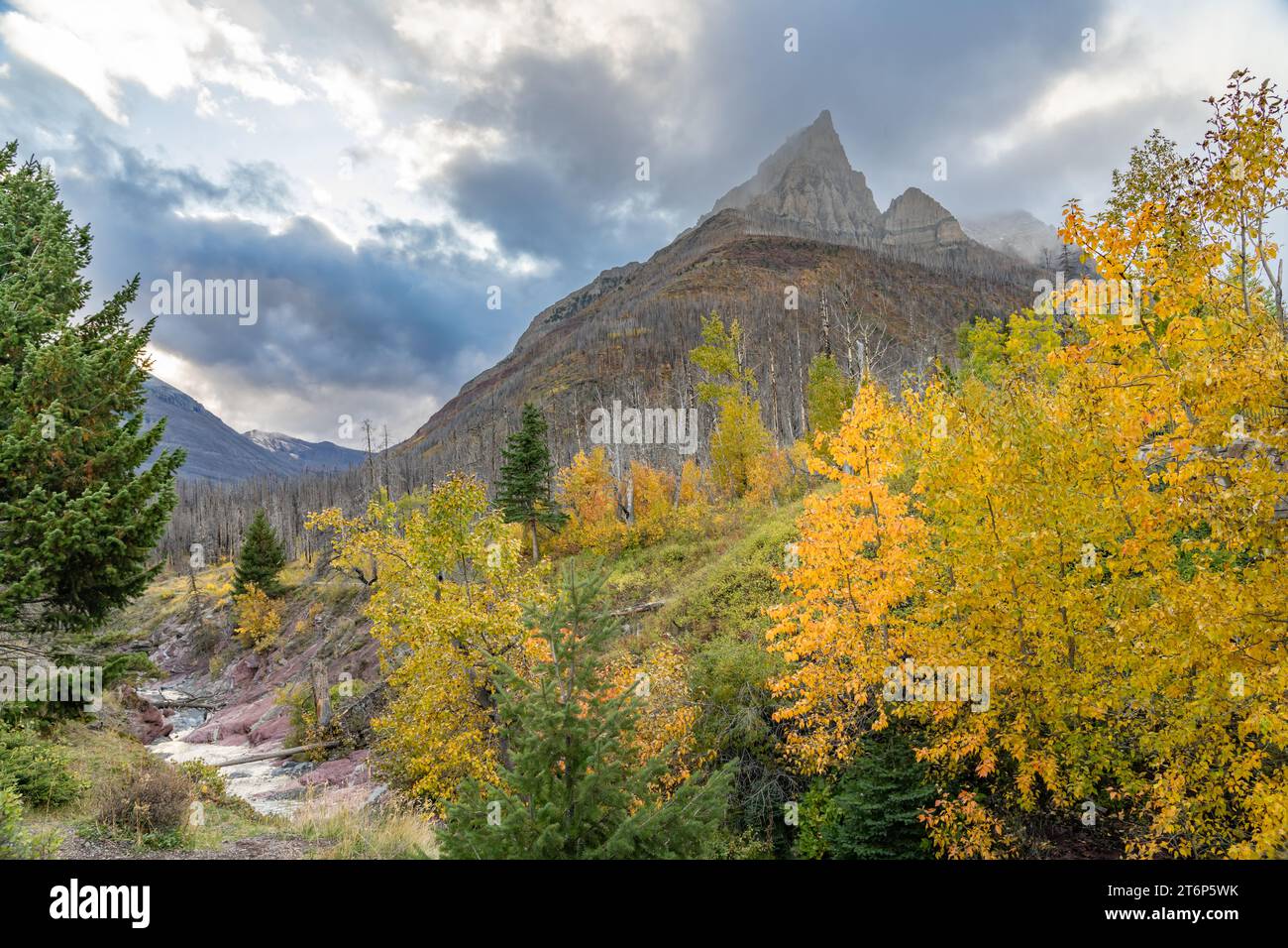 Colori autunnali del parco nazionale di Waterton Lakes, Alberta, Canada. Foto Stock