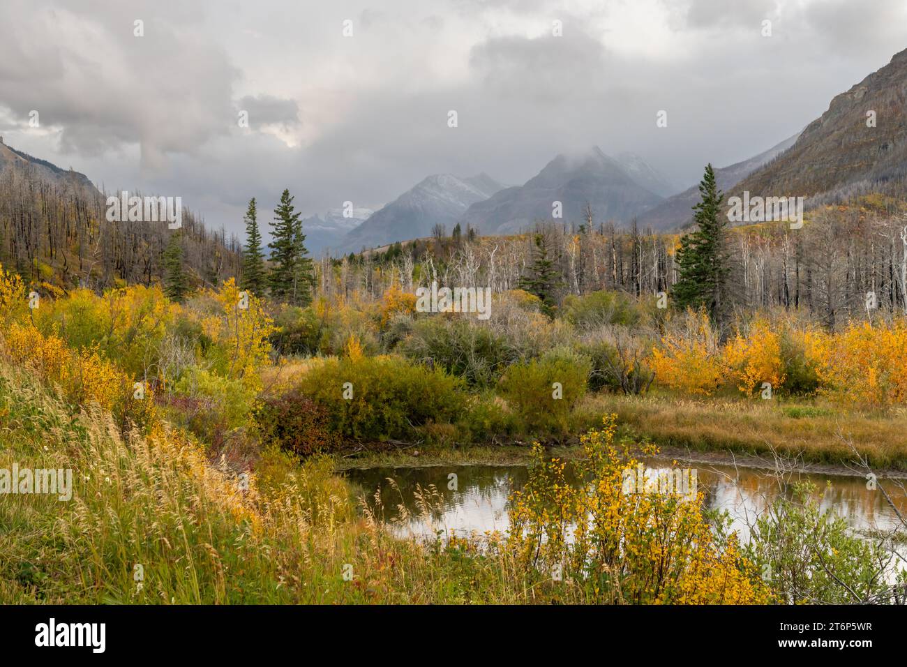 Colori autunnali del parco nazionale di Waterton Lakes, Alberta, Canada. Foto Stock