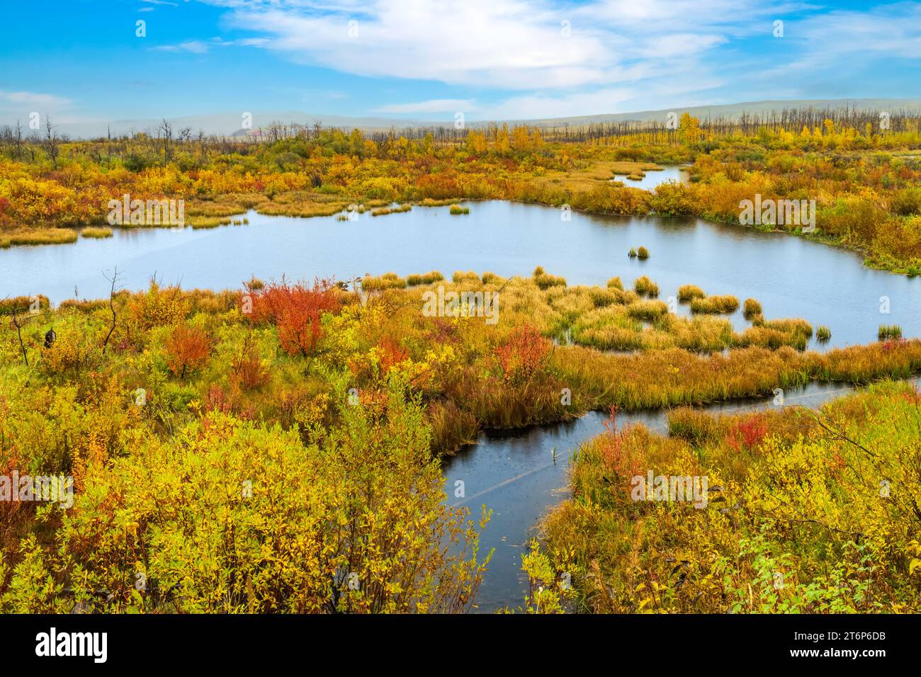 Colori autunnali del parco nazionale di Waterton Lakes, Alberta, Canada. Foto Stock