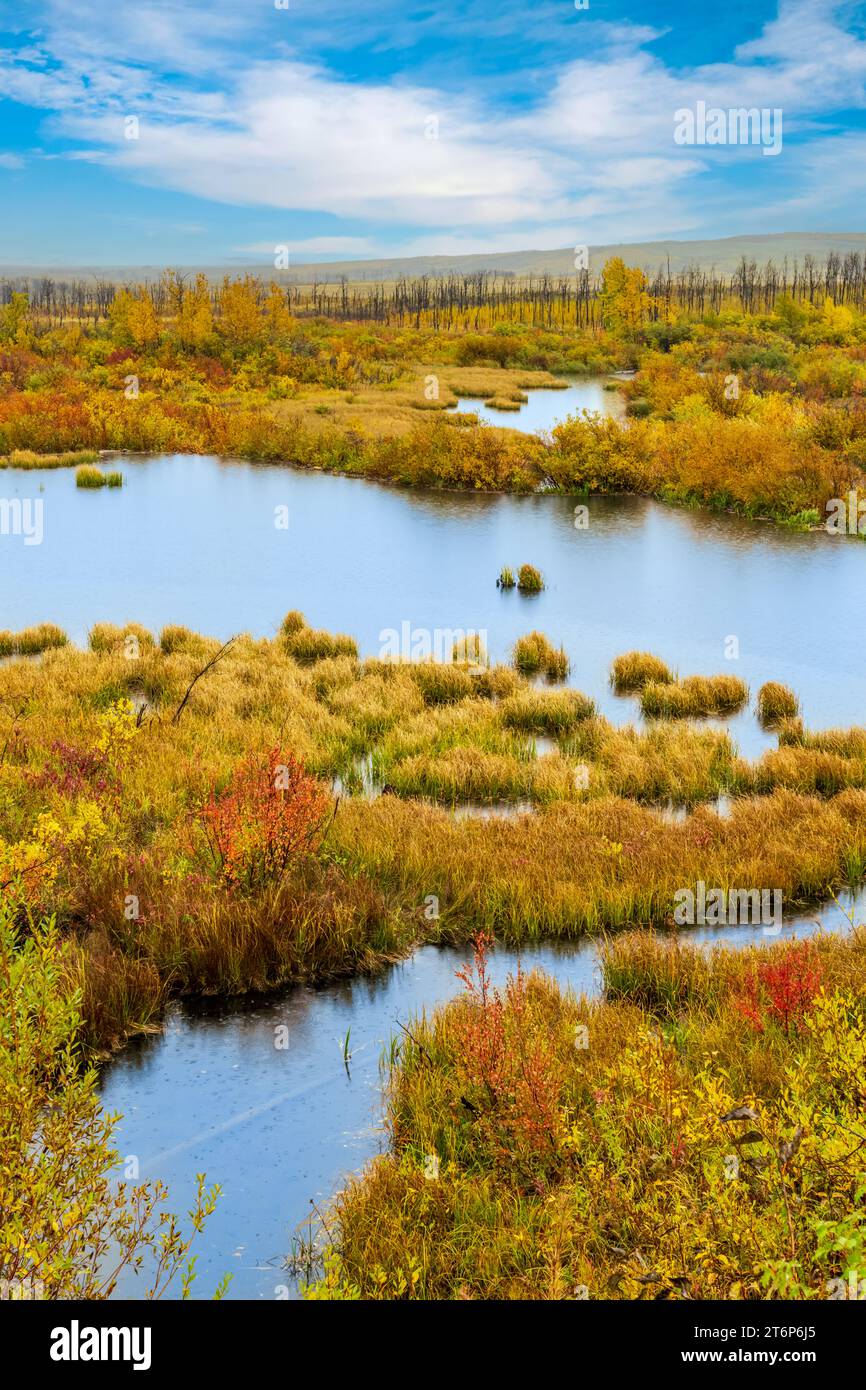 Colori autunnali del parco nazionale di Waterton Lakes, Alberta, Canada. Foto Stock