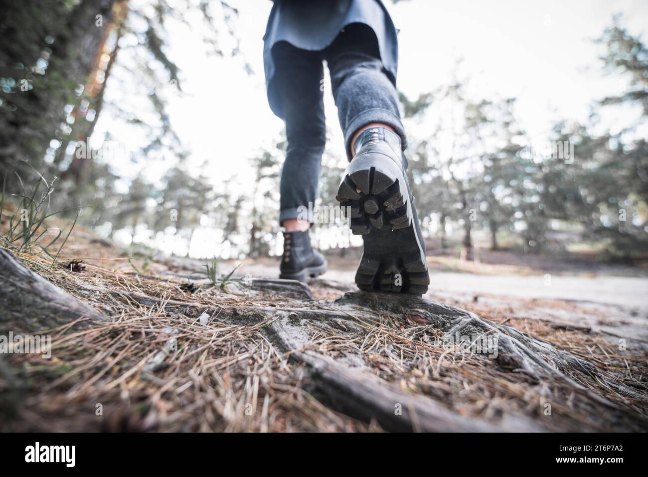 Coltivare la foresta escursionistica turistica Foto Stock