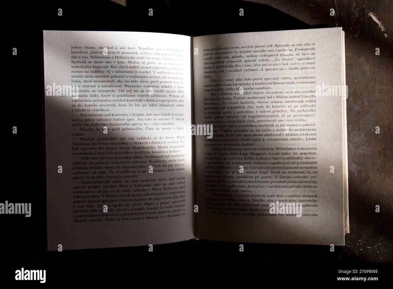 Libro aperto in grigio Foto Stock