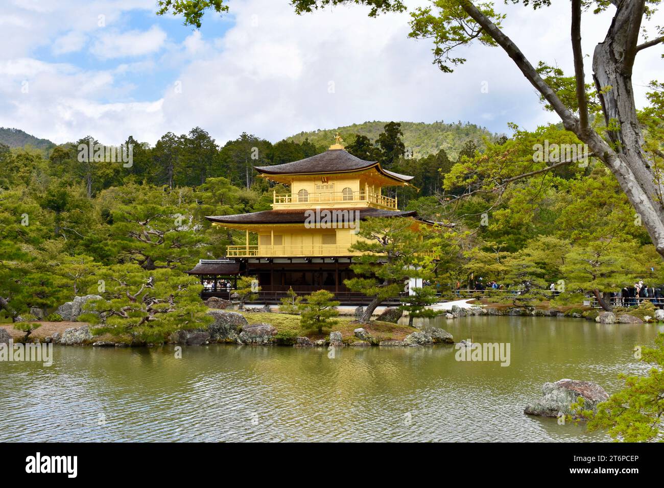 Tempio Kinkakuji (金閣寺, Padiglione d'oro) Foto Stock