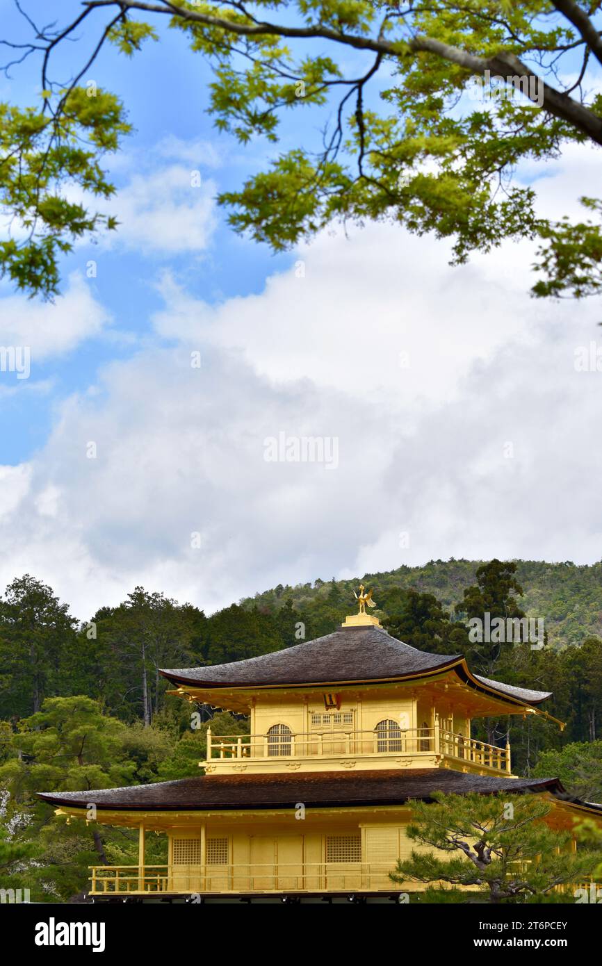 Tempio Kinkakuji (金閣寺, Padiglione d'oro) Foto Stock