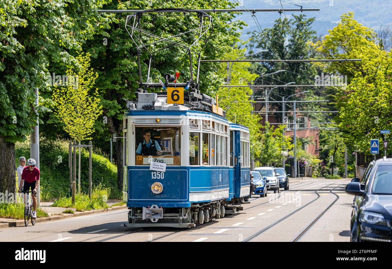 DAS Zürcher tram - Elefant Im Jahr 1930 wurde das tram StStZ CE 4/4 321 An die Städtische Strassenbahn Zürich abgeliefert. Es ist ein schwerer vierachsiger Motorwagen mit Mitteleinstieg und Quersitzen. Bekannt ist das tram auch unter dem Namen Elefant . 1966 wurde das tram ausrangiert. Seit 1975 steht es der VBZ als Museumstram zur Verfügung. Hier im Rahmen der Jubliäumsfeier zu 175 Jahre Eisenbahn in der Schweiz auf der Linie 6 zwischen Hauptbahnhof Zürich und Zürich Zoo. Zürich, Schweiz, 21.05.2022 *** il tram Zurich Elefant nel 1930, il tram StStZ CE 4 4 321 fu consegnato al Foto Stock