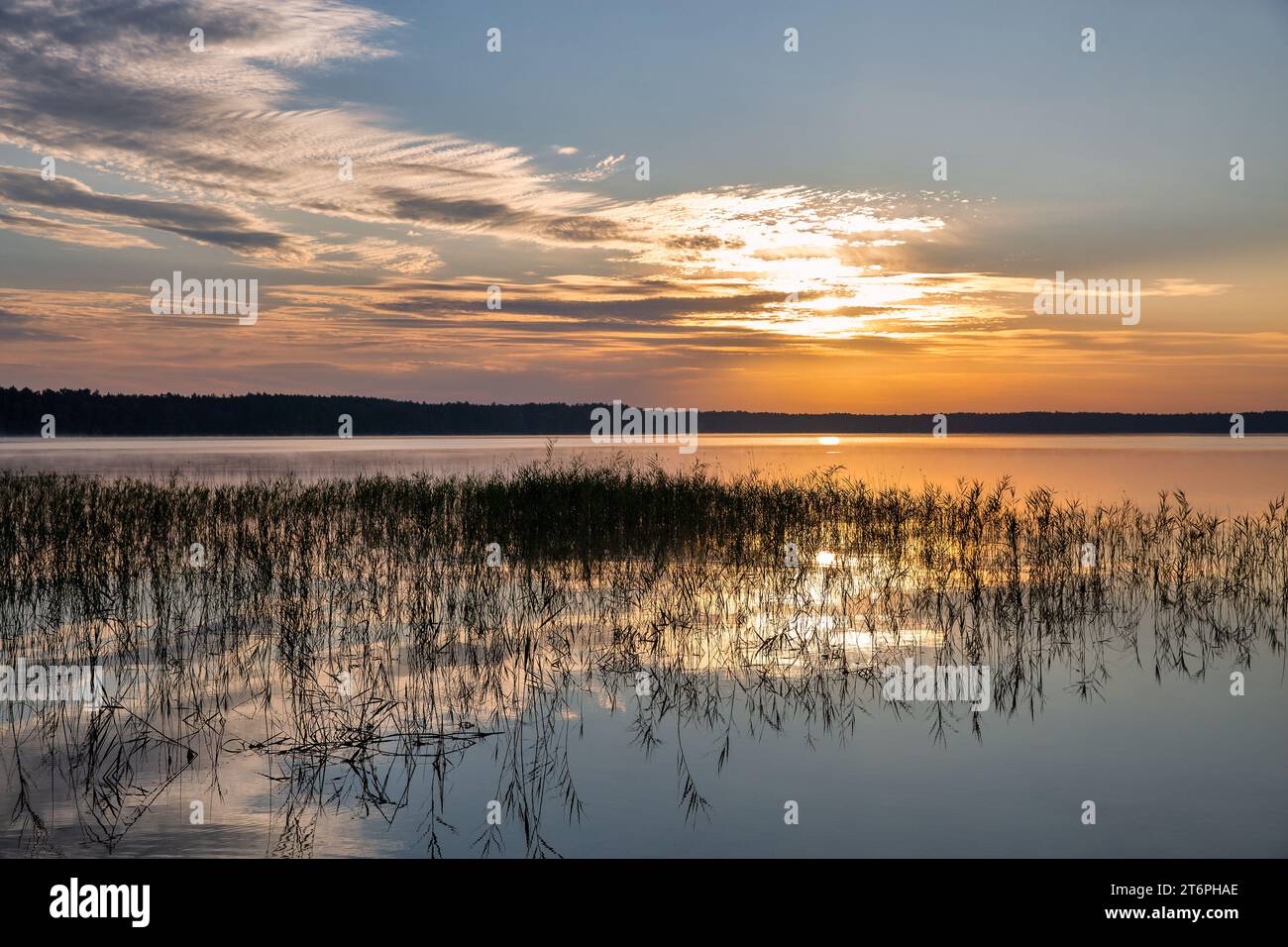 Sole all'alba che guarda le precipitazioni sul lago bianco nella regione di Rivne, Ucraina. Foto Stock