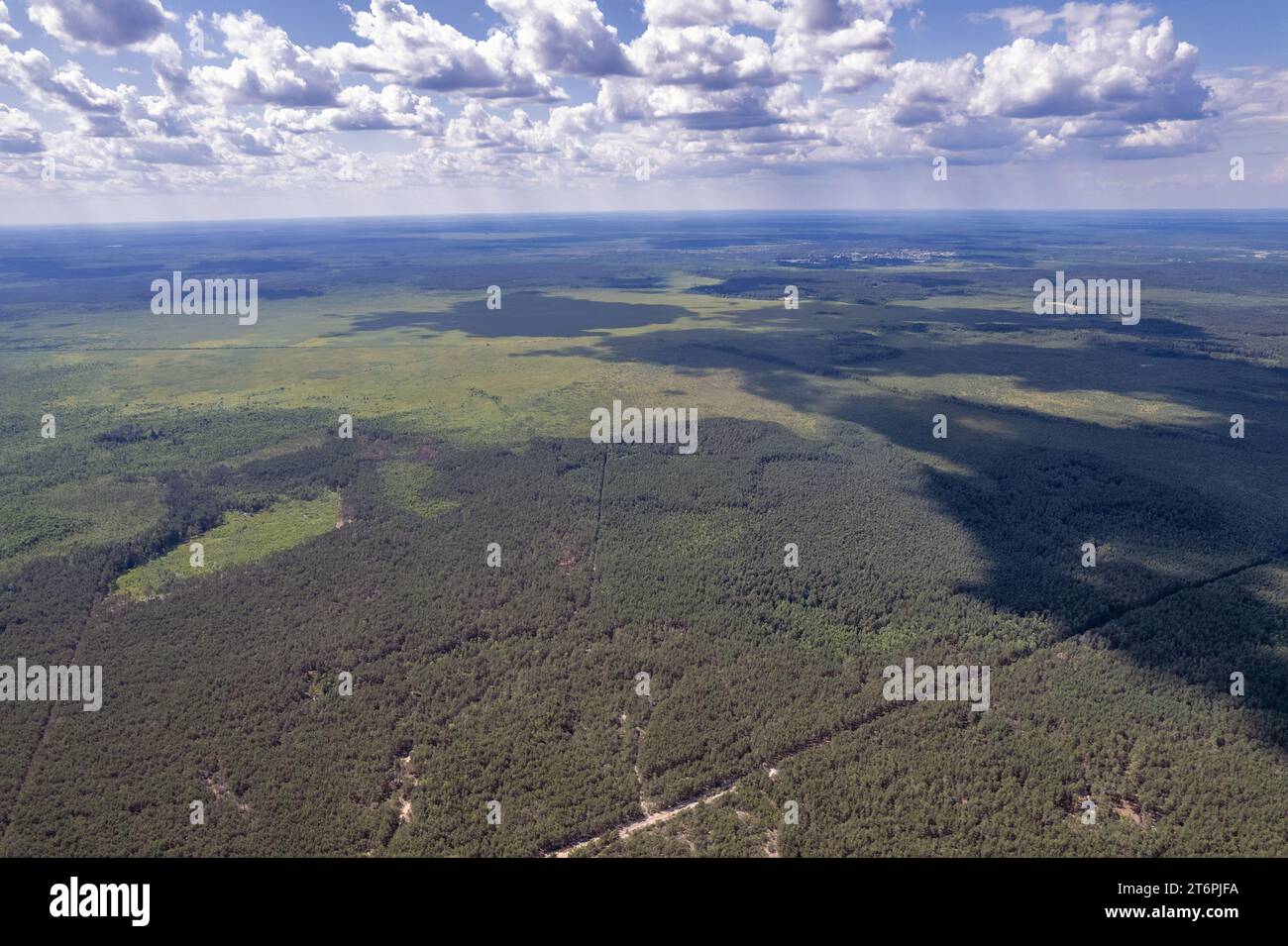 Vista aerea dalla cima del drone sulla foresta nella regione di Rivne, Ucraina. Foto Stock