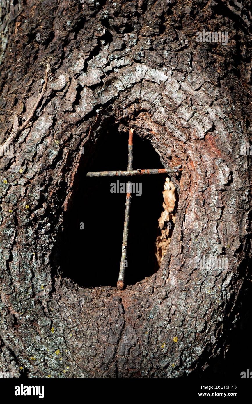 Una croce fatta di ramoscelli montati in una cavità di un albero lungo una scia di nautre ad Abingdon, Virginia. Foto Stock