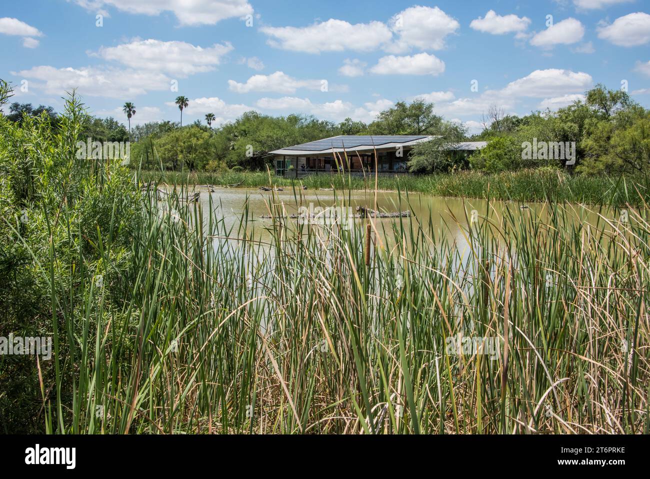 Cartello d'ingresso per estero Llano grande State Park, World Birding Center, Weslaco, Texas, USA Foto Stock