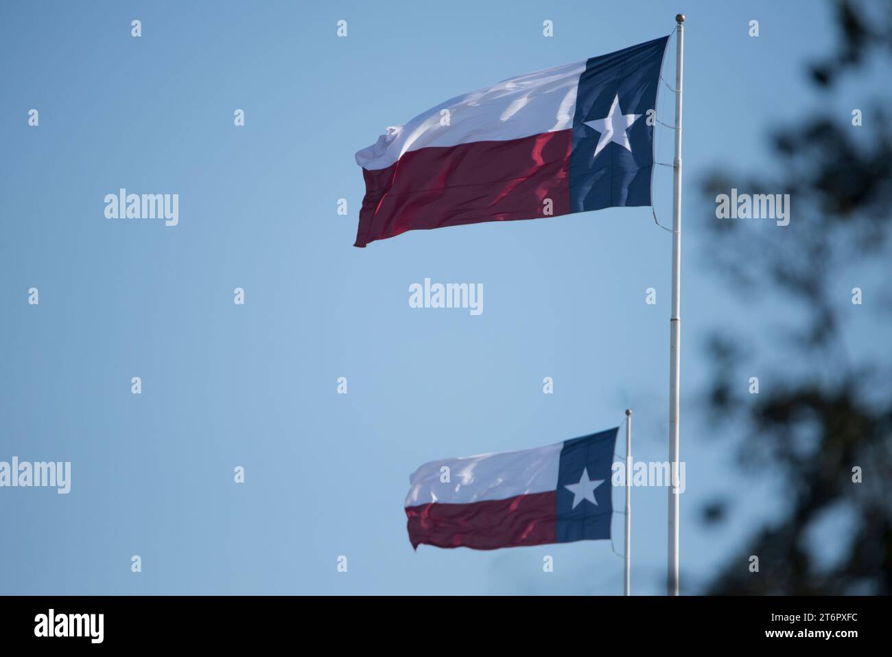 La Lone Star Flag è stata adottata dal Congresso del Texas nel 1839: "[T]la bandiera nazionale del Texas consisterà di una striscia perpendicolare blu della larghezza Foto Stock