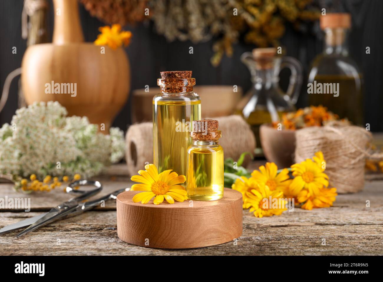 Bottiglie di oli essenziali, fiori di calendula e forbici su tavola di legno. Erbe medicinali Foto Stock