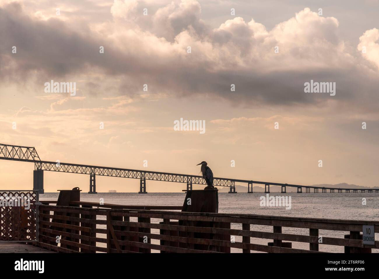 Un airone blu e il ponte Astoria-Megler si stagliano contro un cielo nuvoloso di fine estate sopra il fiume Columbia ad Astoria, Oregon. Foto Stock