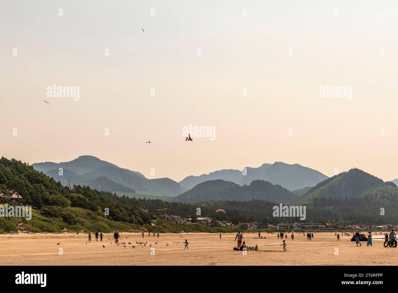 Le aspre colline della costa dell'Oregon si innalzano sopra l'affollata Cannon Beach, Oregon. Foto Stock