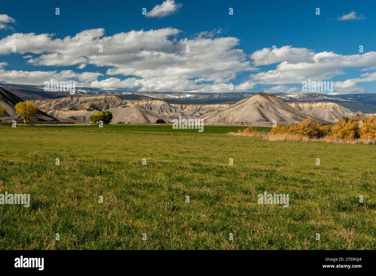 Le Adobe Badlands della contea di Delta, Colorado, con la Grand Mesa sullo sfondo. Foto Stock