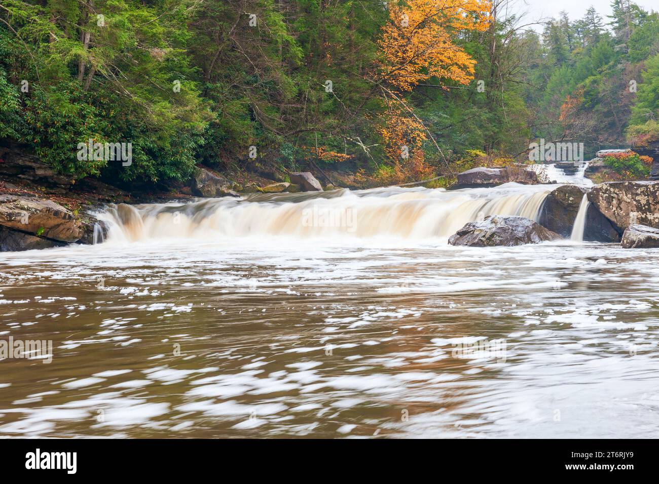 Cascate di Lower Swallow in un giorno autunnale piovoso. Youghiogheny River. Swallow Falls State Park. Oakland. Maryland Foto Stock