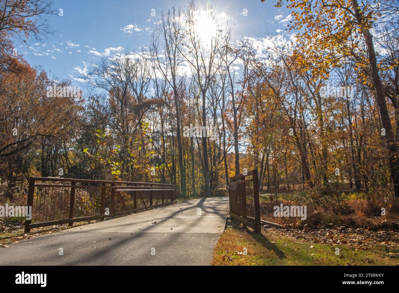 Il sole mattutino brillante proietta lunghe ombre su un sentiero naturalistico in autunno. Foto Stock