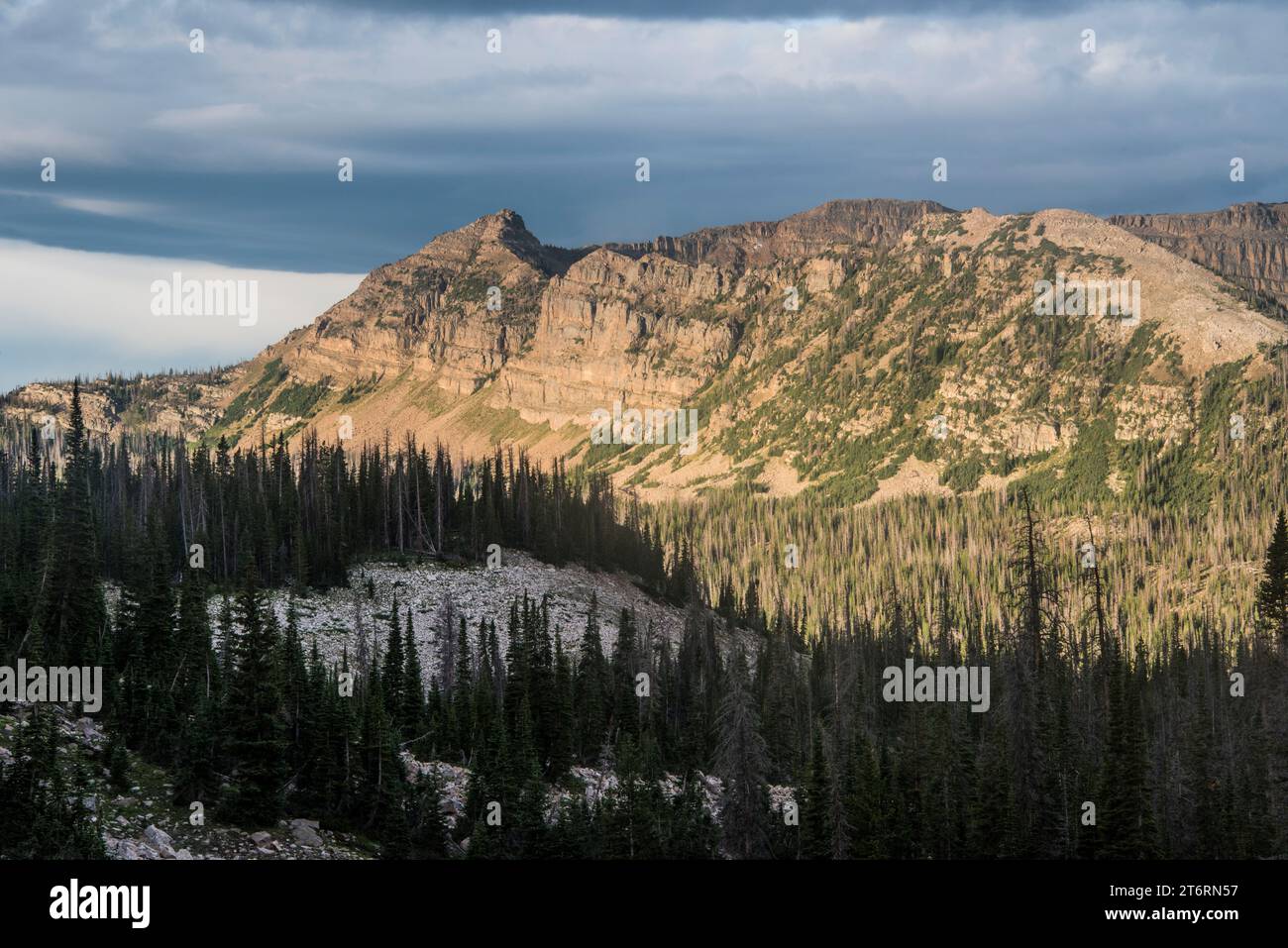 Paesaggio panoramico della zona del lago, Mirror Lake Highway, Uinta Mountains, Camas, Utah, USA Foto Stock