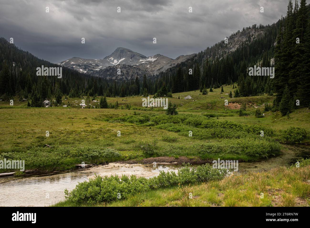 OR02706-00...OREGON - Eagle Cap Peak vista dai prati aperti lungo l'East Fork Lostine Trail nella Eagle Cap Wilderness. Foto Stock