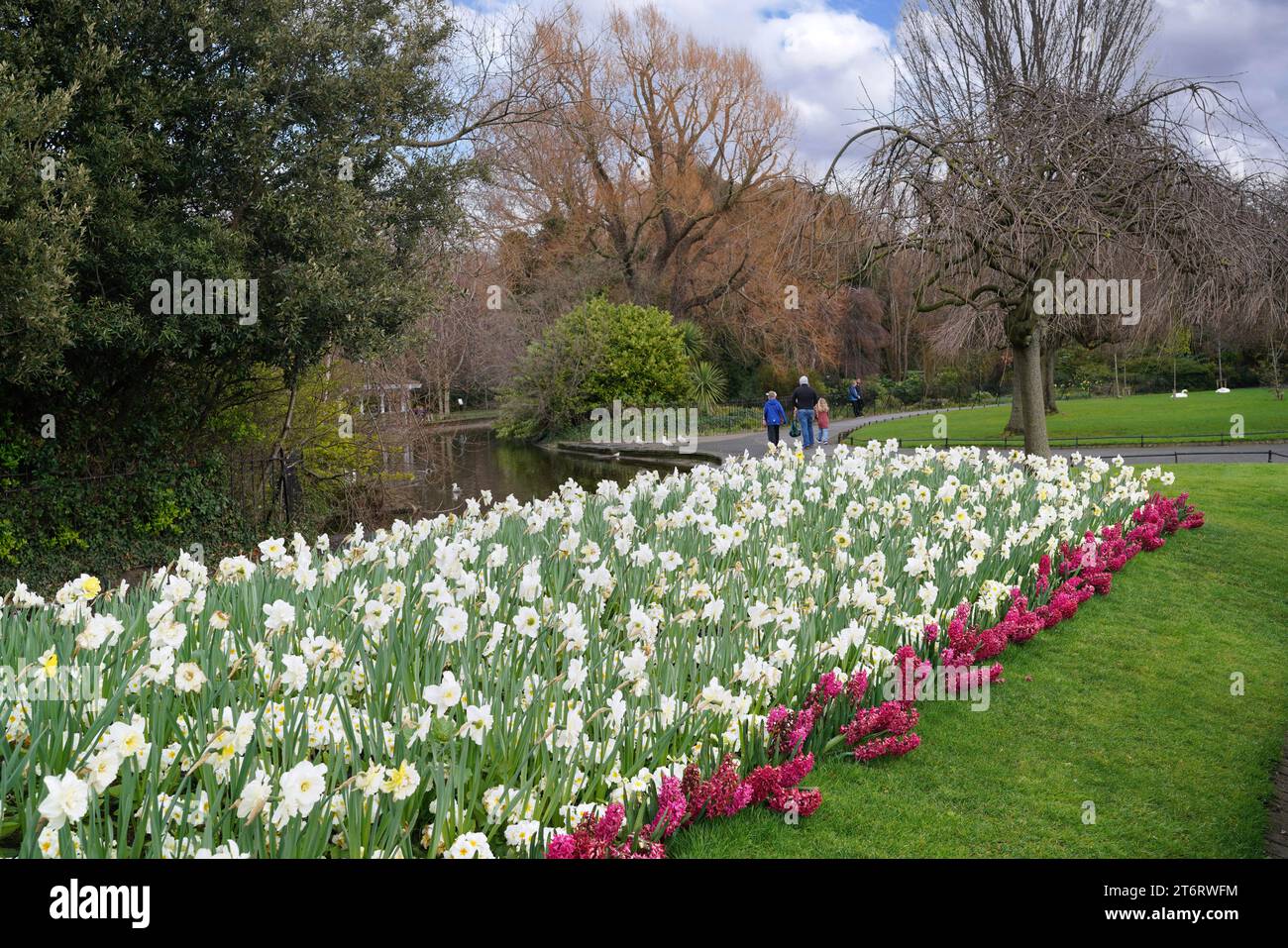 Parco con fiori primaverili, St. Stephen's Green a Dublino Foto Stock