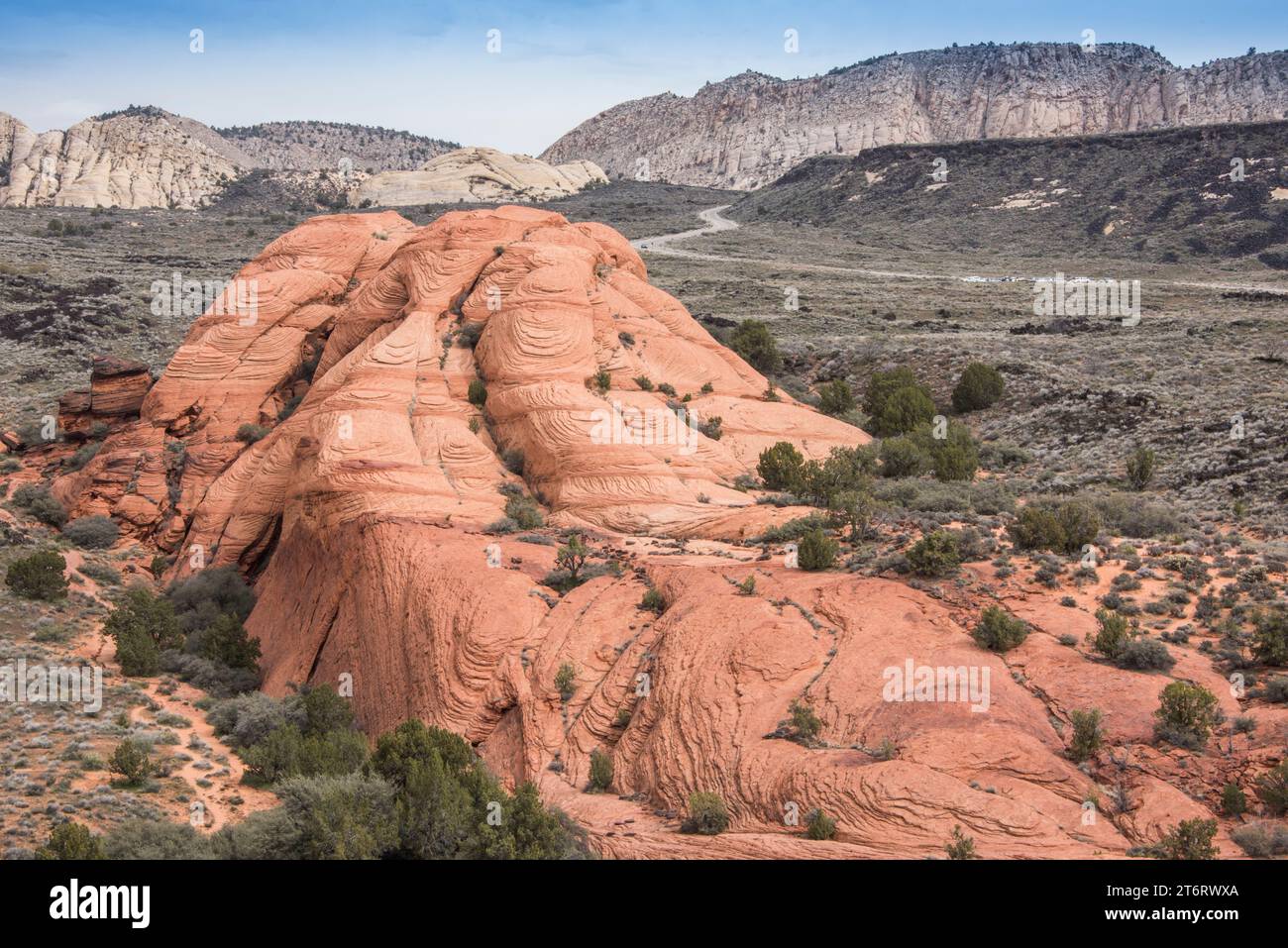 Dune di sabbia pietrificate formavano l'arenaria navajo in questo paesaggio panoramico di Red Cliffs Desert Reserve nel parco statale del canyon di neve, st george, utah, usa Foto Stock