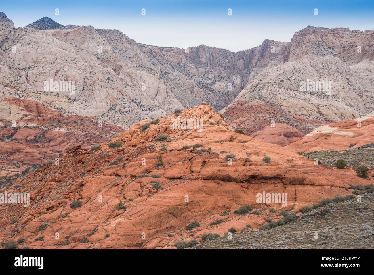 Dune di sabbia pietrificate formavano l'arenaria navajo in questo paesaggio panoramico di Red Cliffs Desert Reserve nel parco statale del canyon di neve, st george, utah, usa Foto Stock