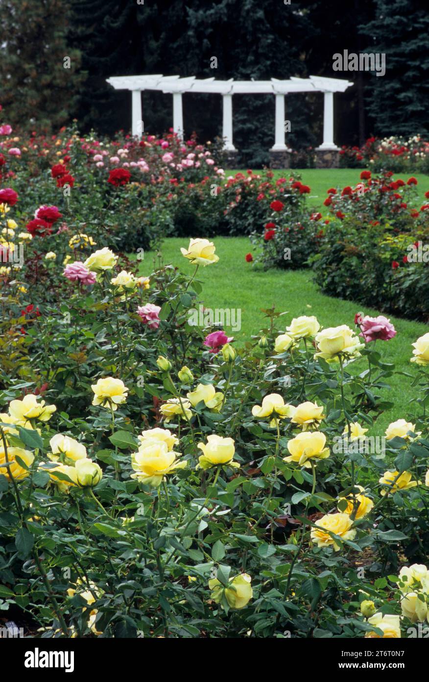 Rose Hill Garden, Manito Park, Spokane Washington Foto Stock