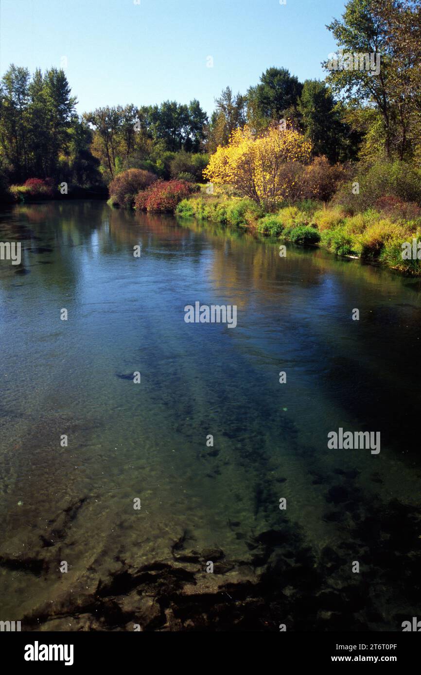 Little Spokane River, Little Spokane River Natural area, Riverside State Park, Washington Foto Stock